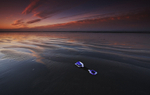 West Wittering II
