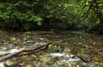 Dartmoor _ DR 013