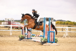 SBM_007480