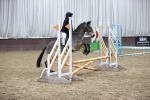 SBM_001181