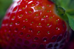 Fruit portfolio