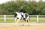 SBM_003529