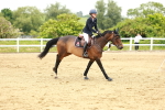 SBM_001293