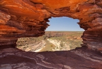 Natures Window