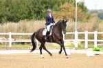 SBM_011431