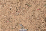 231011A-132500-00563