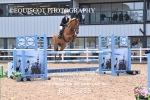 BPP_5255