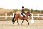SBM_001444