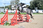 336-SAUNDERSCOURT.AMBASSADOR-Adam.Trew-SJ portfolio