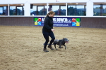 SBM_006012