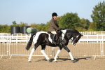 SBM_01111