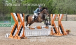 BPP_7008