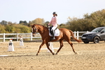 SBM_009154