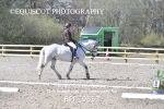 BPP_9557