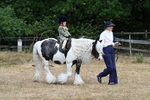 WJ7_6930