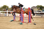 SBM_024461