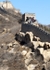Great Wall Edge of Winter 9jpg