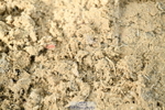 251004A-095731-00314
