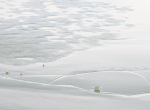 MELT #2 - LAKE ERIE