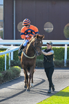 080426-Race 5-Free Pic-0628