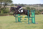 Class 4: Cornish Open: 90-1m Showjumping portfolio