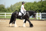 SBM_007881