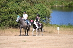 WJ6_8219