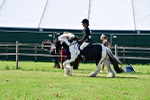 SBM_09326