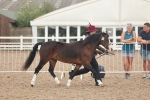 SBM_08422