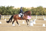 SBM_008735