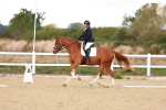 SBM_002274