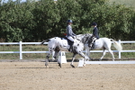 SBM_001180