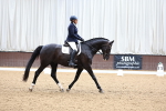 SBM-595