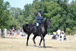 WJ7_9867