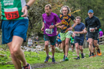 Dovedale Dash-1139