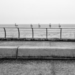 Bleak Outlook 01