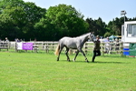 SBM_03316