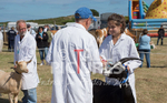 West Show_2014-14