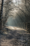 The Old Railway Line