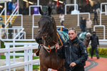 141125-Race 4-Edwardstone-0113
