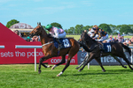 Race 7 17.08pm Platinum Queen Play Live After Racing Handicap portfolio