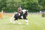 SBM_17283