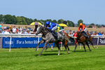 230626-Race 2-Tattie Bogle-0363