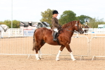 SBM_16928