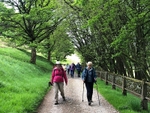 029 Making good time on Thrope Lane