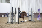 SBM_000105