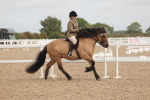 SBM_02038