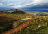 Autumn Light