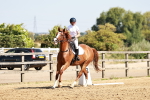 SBM_001341