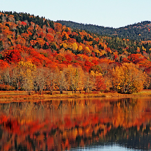 Autumn foliage along the Kennebecasis river at Hampton, New Brunswick.